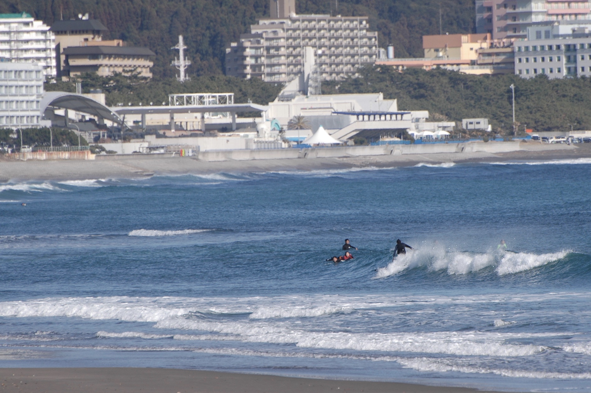 2017 12月 26 Surf Shop Bloom