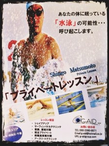 shingo1